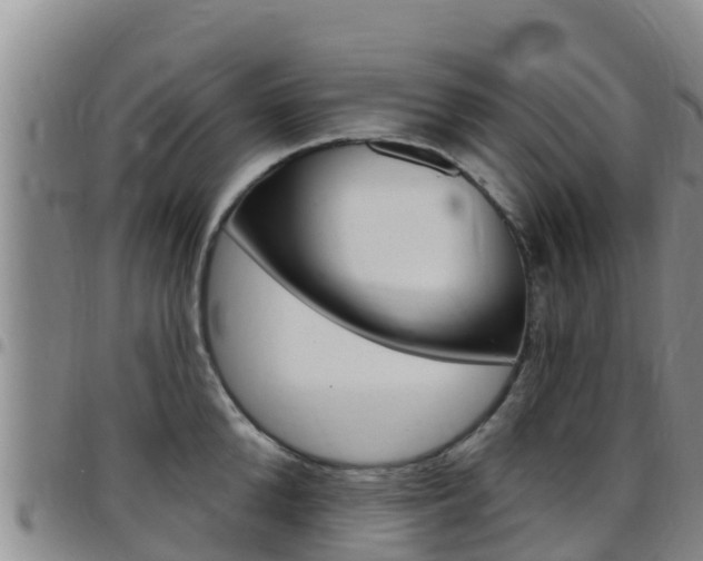 X0000097890904200803141002