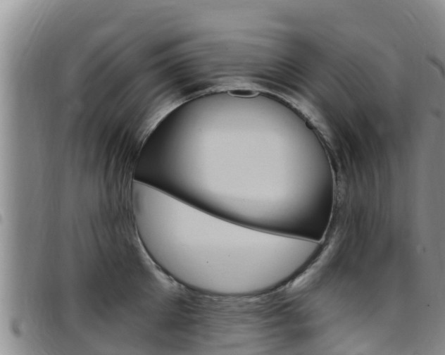 X0000097890905200803141002