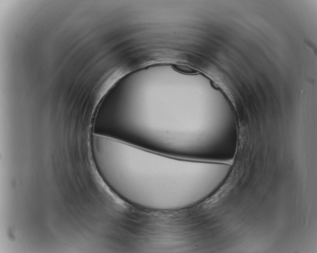 X0000097890906200803141002