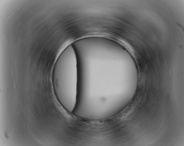X0000097890907200803141002