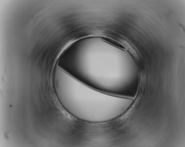 X0000097890908200803141002