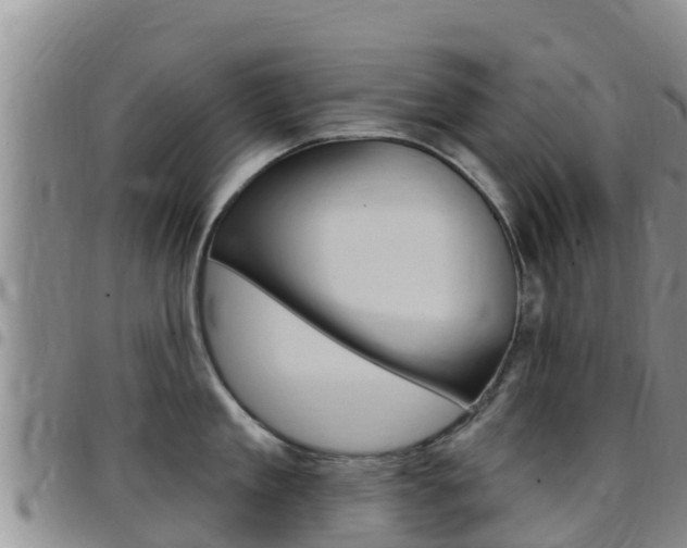 X0000097890909200803141002