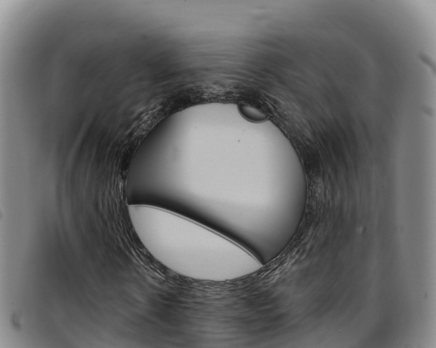 X0000097890914200803141002