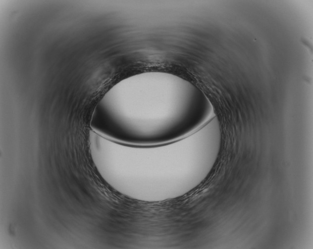 X0000097890916200803141002