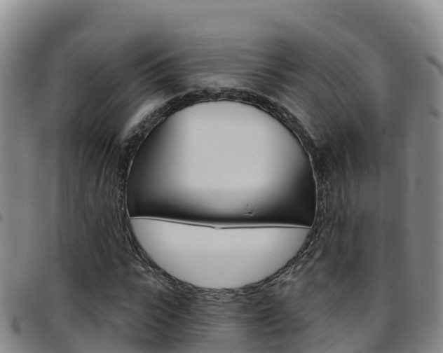 X0000097890919200803141002