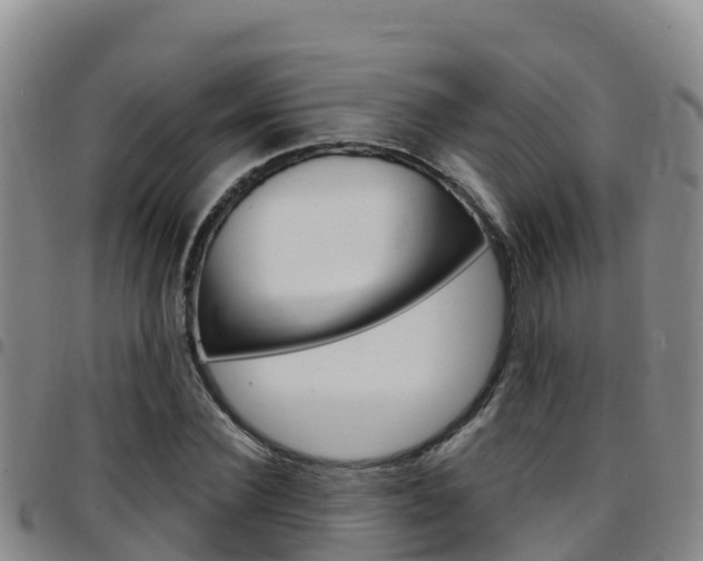 X0000097890924200803141002