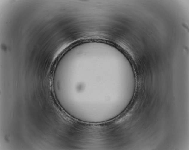 X0000097890925200803141002