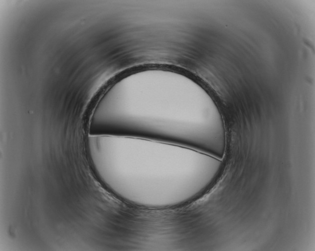 X0000097890926200803141002