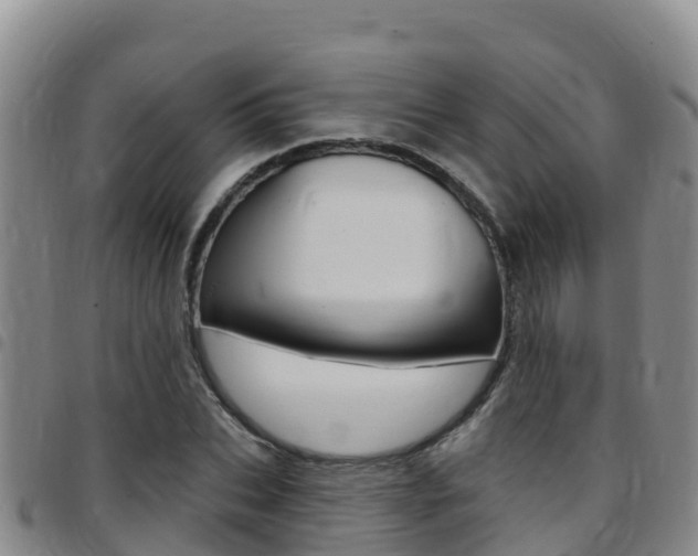 X0000097890927200803141002
