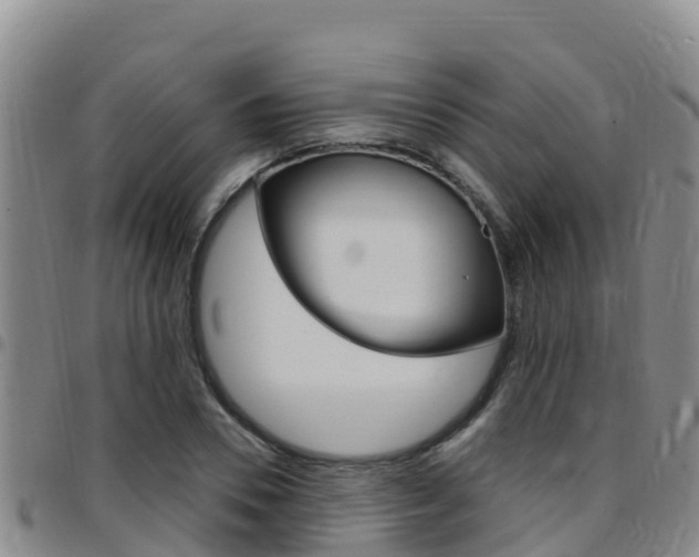 X0000097890930200803141002