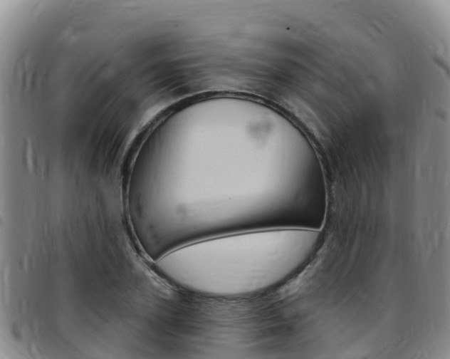 X0000097890931200803141002