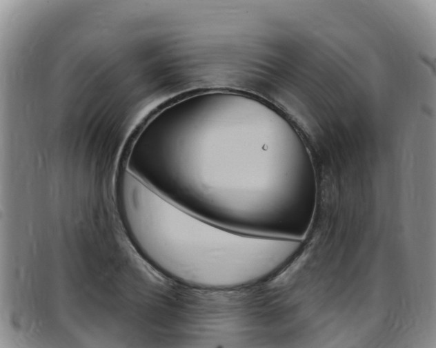 X0000097890932200803141002