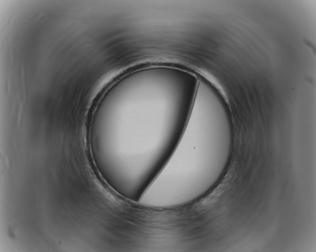 X0000097890935200803141002