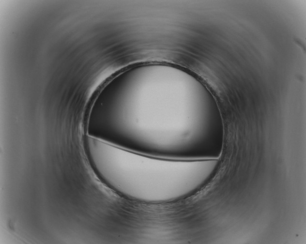 X0000097890936200803141002