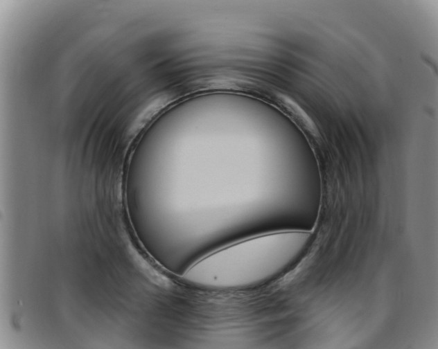 X0000097890938200803141002