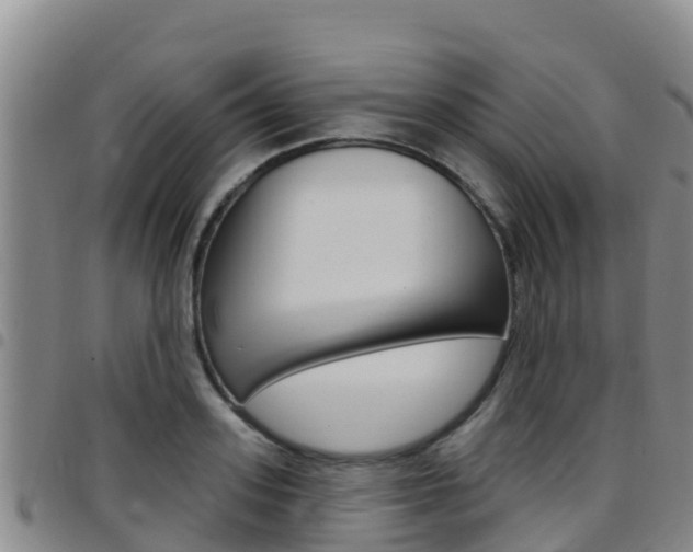 X0000097890939200803141002