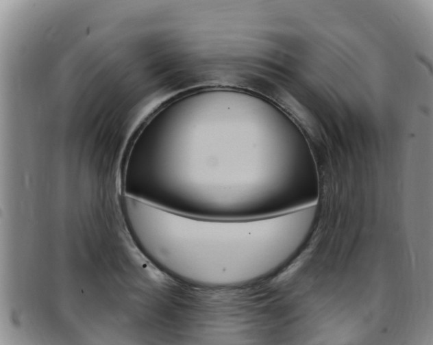 X0000097890940200803141002