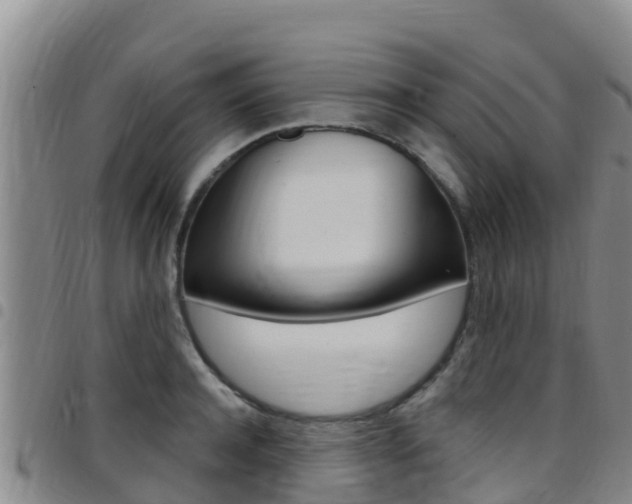 X0000097890944200803141002