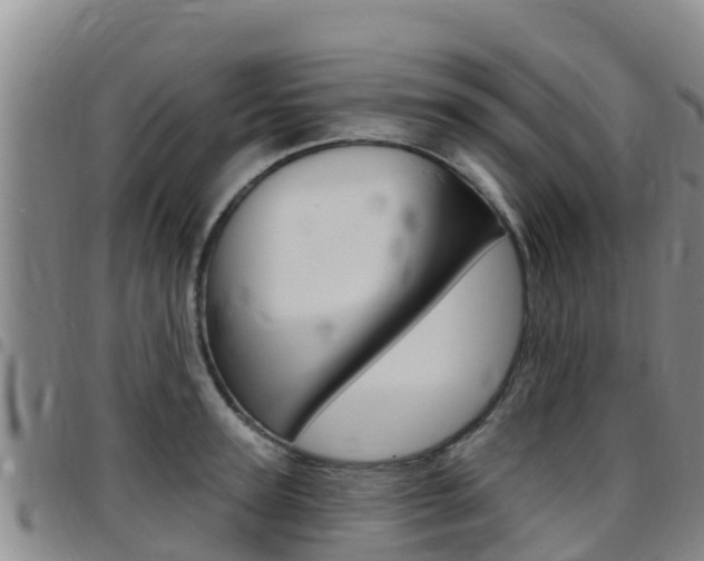 X0000097890947200803141002