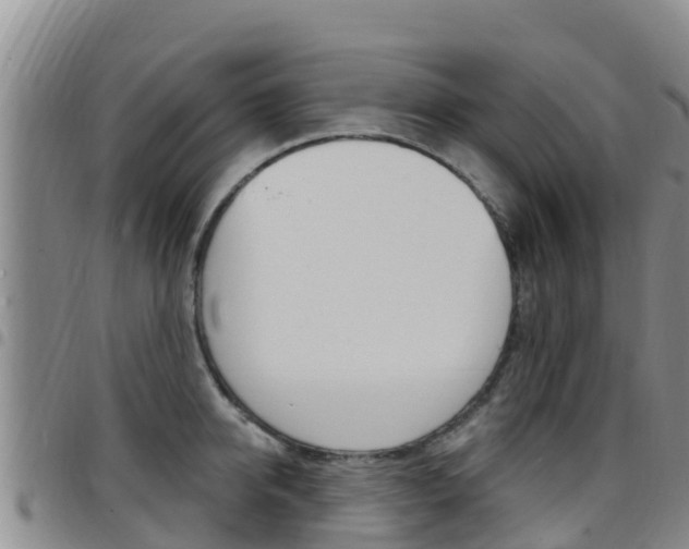 X0000097890950200803141002