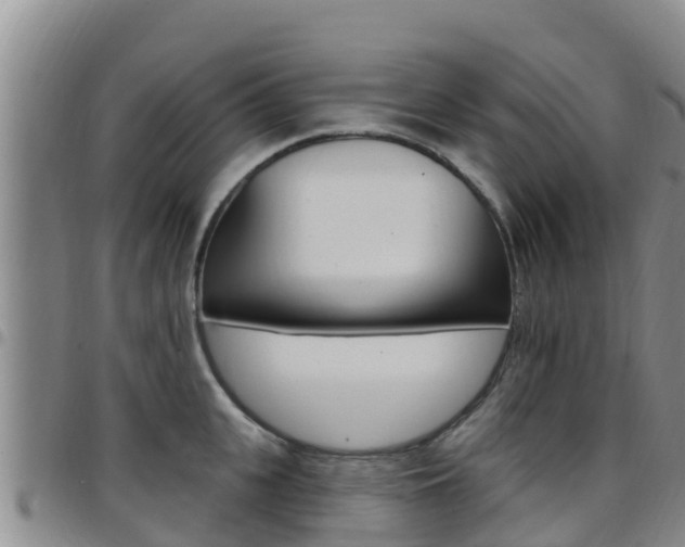 X0000097890951200803141002