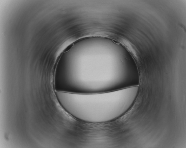X0000097890952200803141002