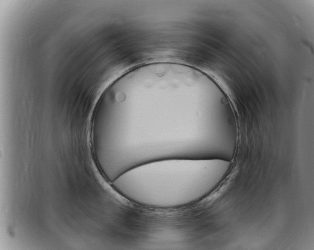 X0000097890957200803141002