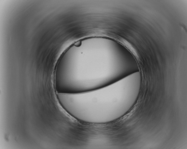 X0000097890958200803141002