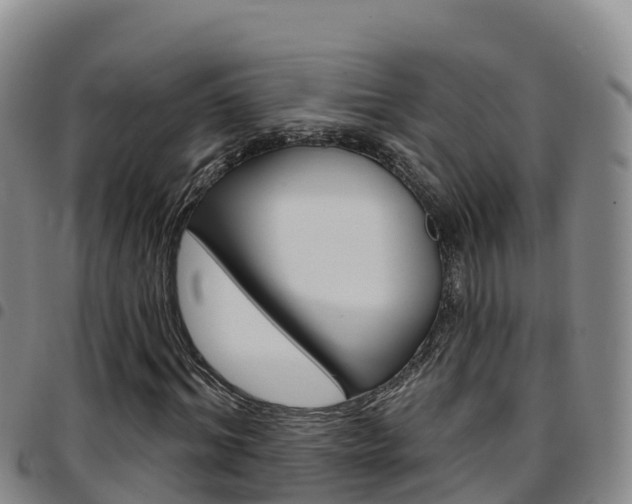 X0000097890964200803141002