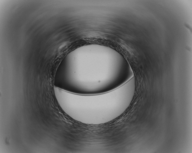X0000097890965200803141001