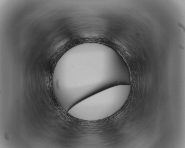 X0000097890966200803141001