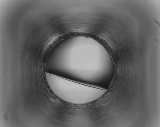 X0000097890968200803141001