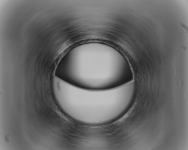 X0000097890969200803141001