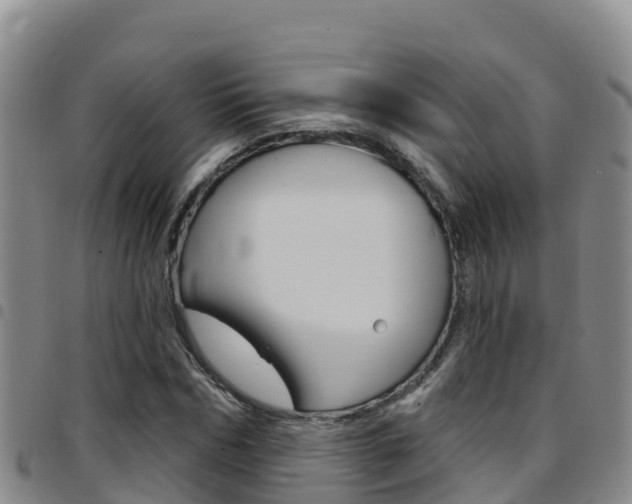 X0000097890970200803141001