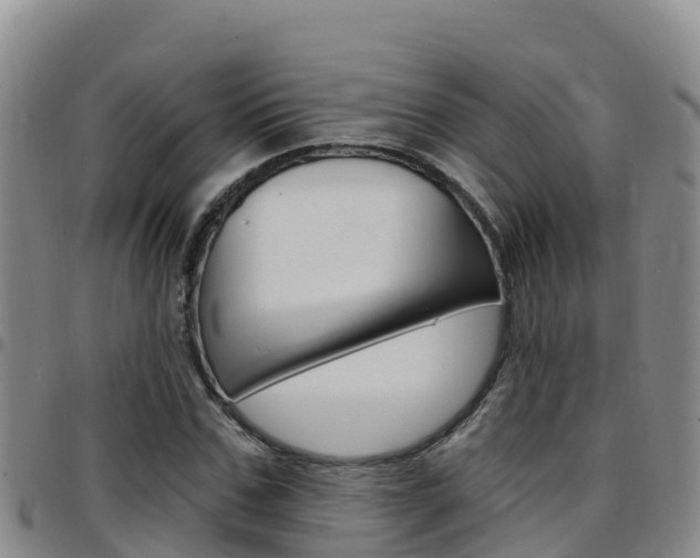 X0000097890971200803141001