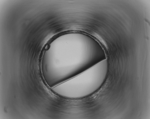 X0000097890972200803141001