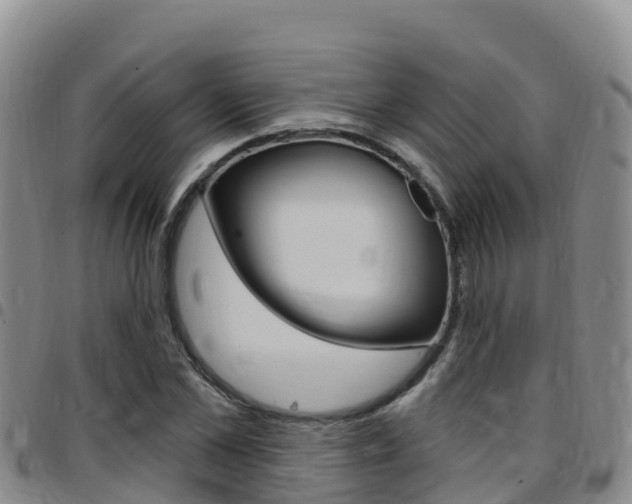 X0000097890973200803141001