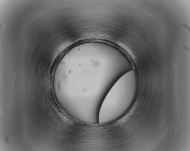 X0000097890974200803141001