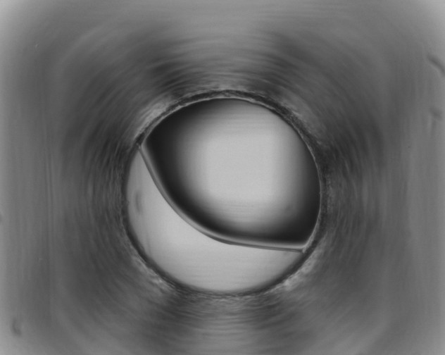 X0000097890977200803141001