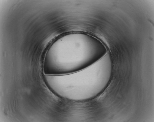 X0000097890979200803141001