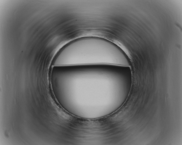 X0000097890980200803141001