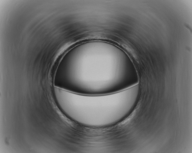 X0000097890981200803141001