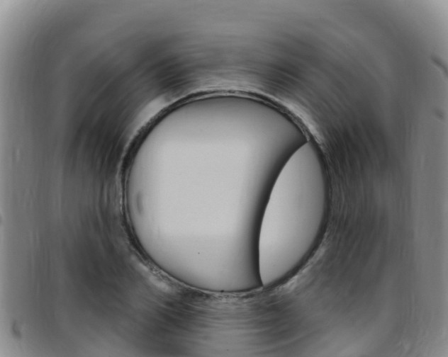 X0000097890982200803141001