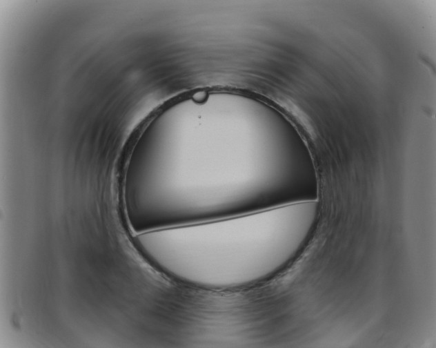 X0000097890983200803141001