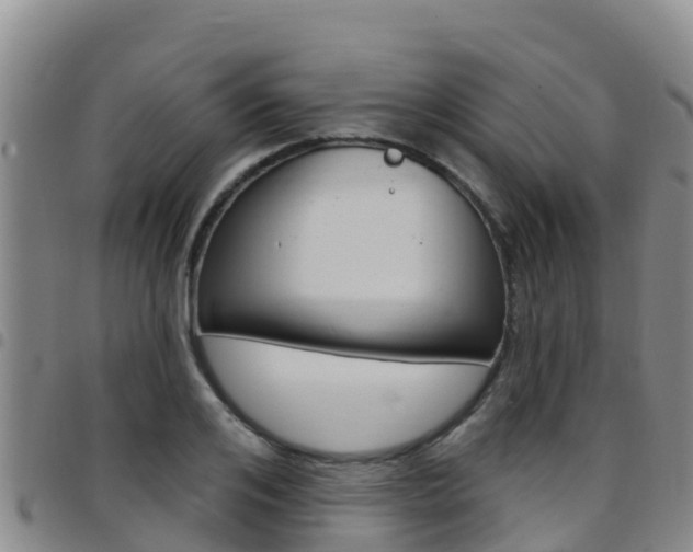 X0000097890984200803141001