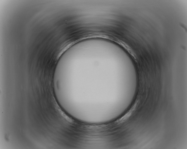 X0000097890985200803141001