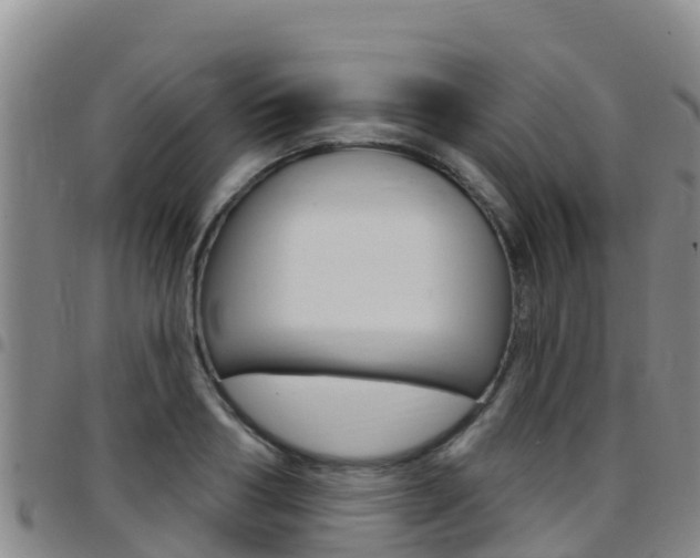 X0000097890986200803141001