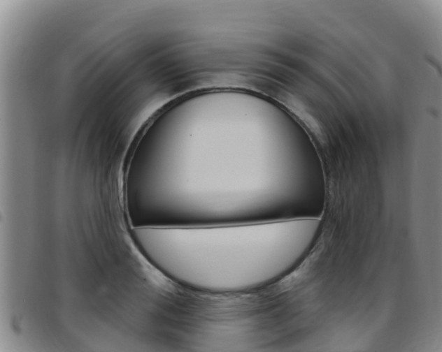 X0000097890988200803141001