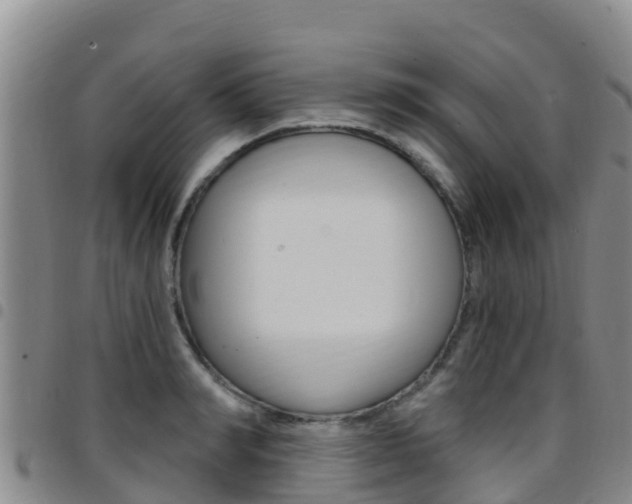 X0000097890990200803141001
