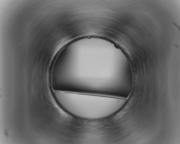 X0000097890991200803141001